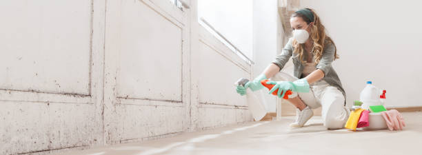 Mold Odor Removal Services in College Station, TX